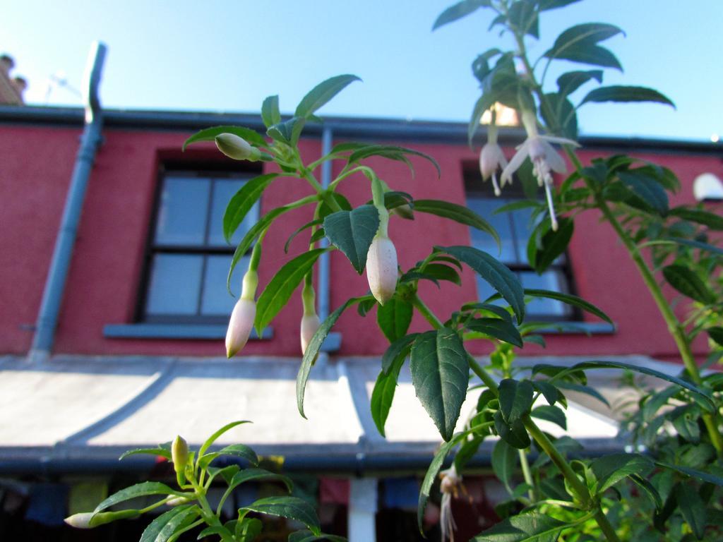 Western House Llangennith Extérieur photo